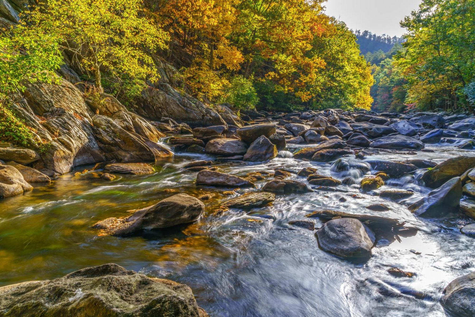 Bear Ridge Βίλα Gatlinburg Εξωτερικό φωτογραφία